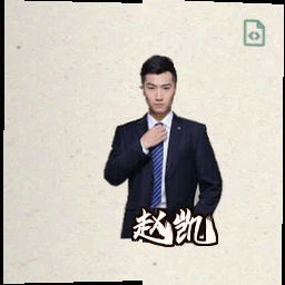 赵凯